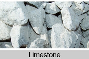 Limestone Plant